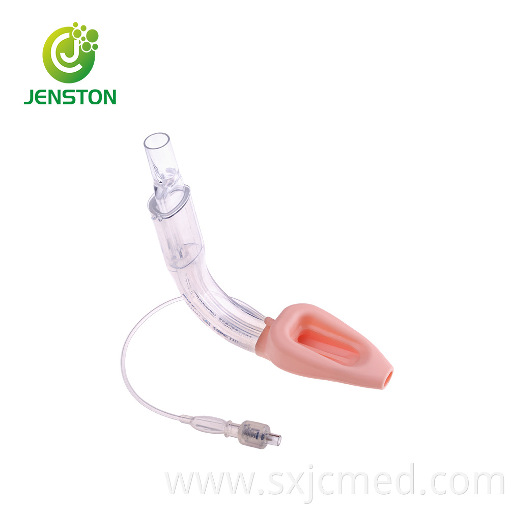 Double Airway Lumen Laryngeal Mask